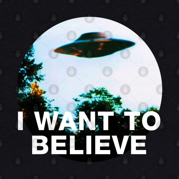 I want to believe by Synthwave1950